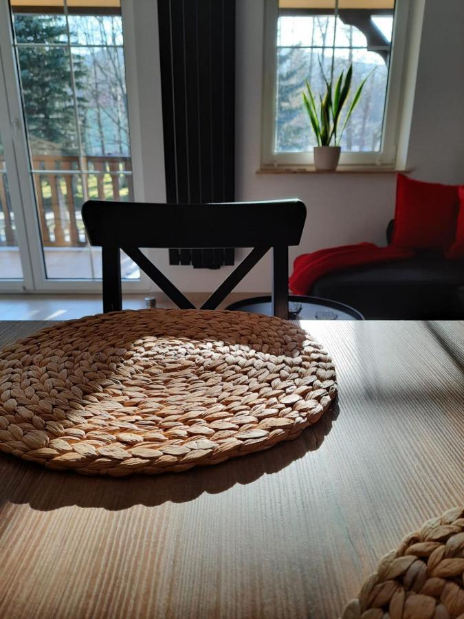 Apartament Felina Świeradów-Zdrój Kültér fotó